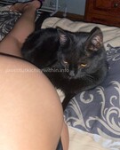 Анкета проститутки Лада - метро Раменки, возраст - 21